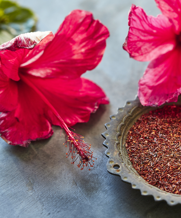 hibiscus_rooibos_v1_262