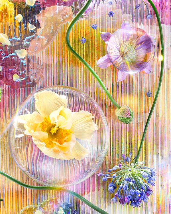 dan-simmons-glass-flower-art-color-rainbow._detail